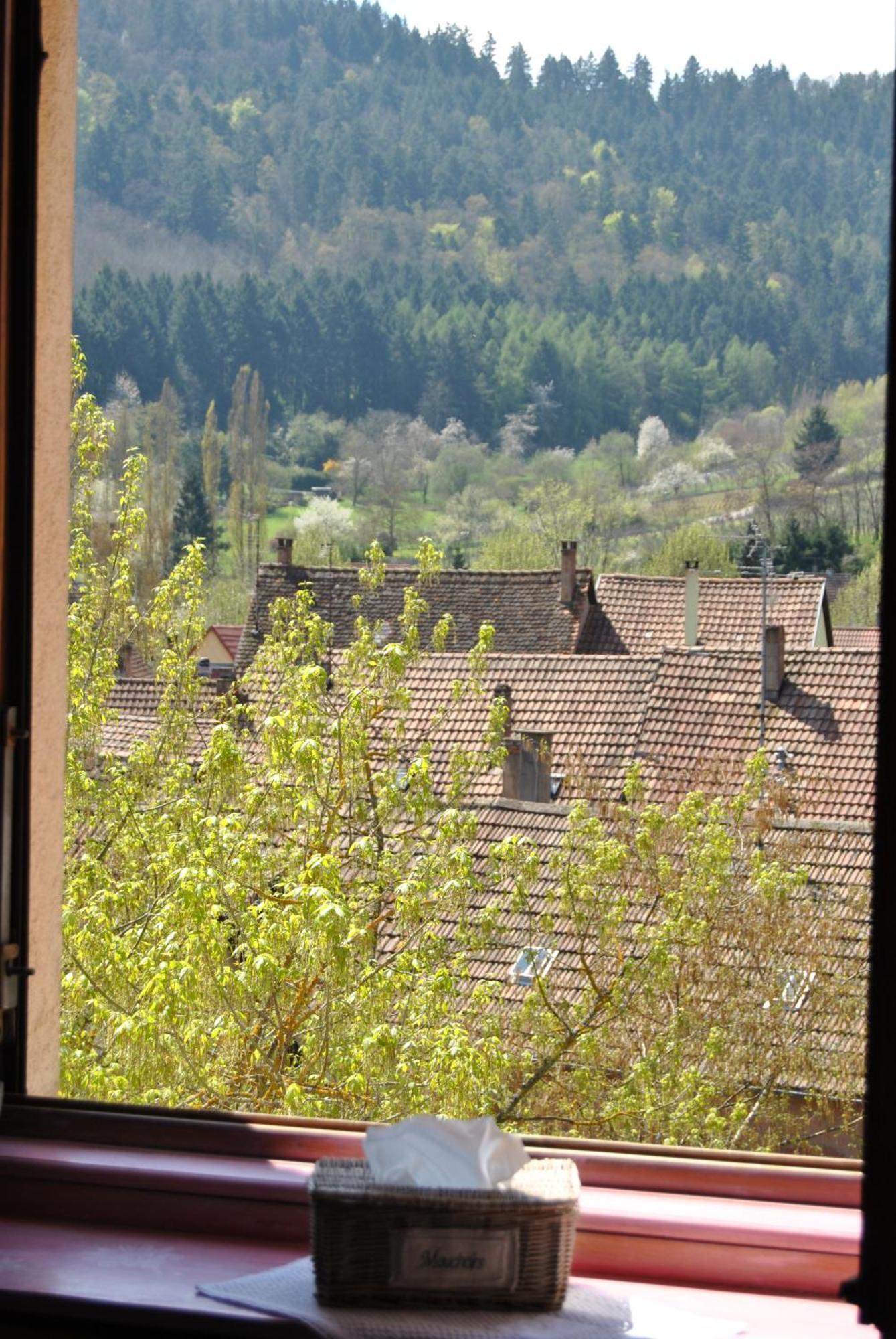 Appartements & Chambres Les Loges Du Capucin Kaysersberg-Vignoble Eksteriør billede